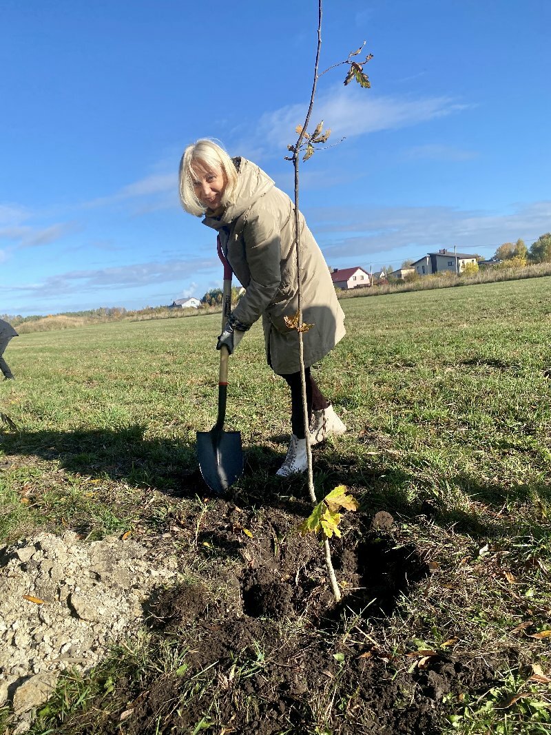 Šiauliai Vu Šiaulių Akademijos Botanikos Sode Pasodinti „ab Šiaulių