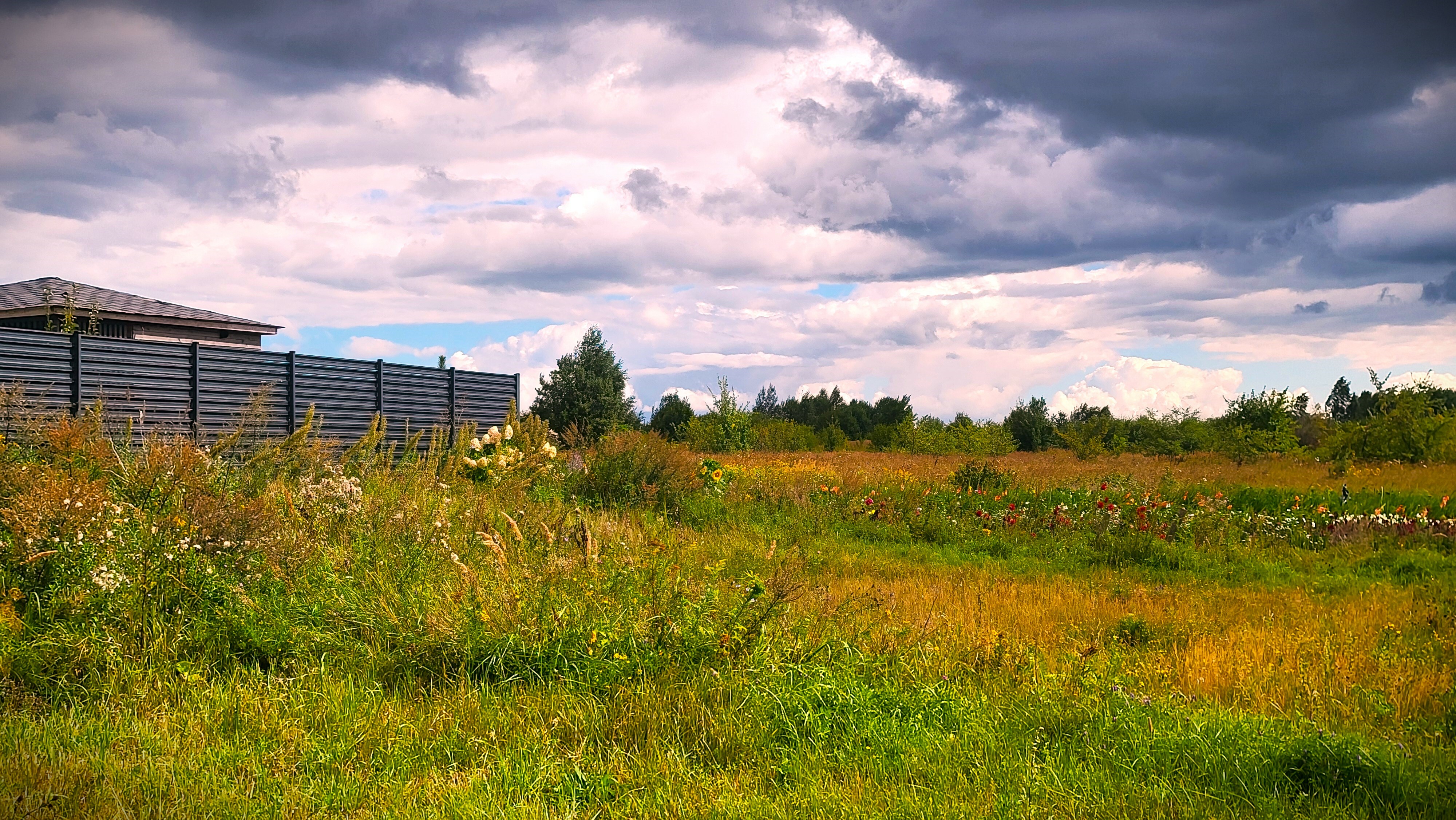 Skelbiami 2024 metų nenaudojamų žemės sklypų sąrašai