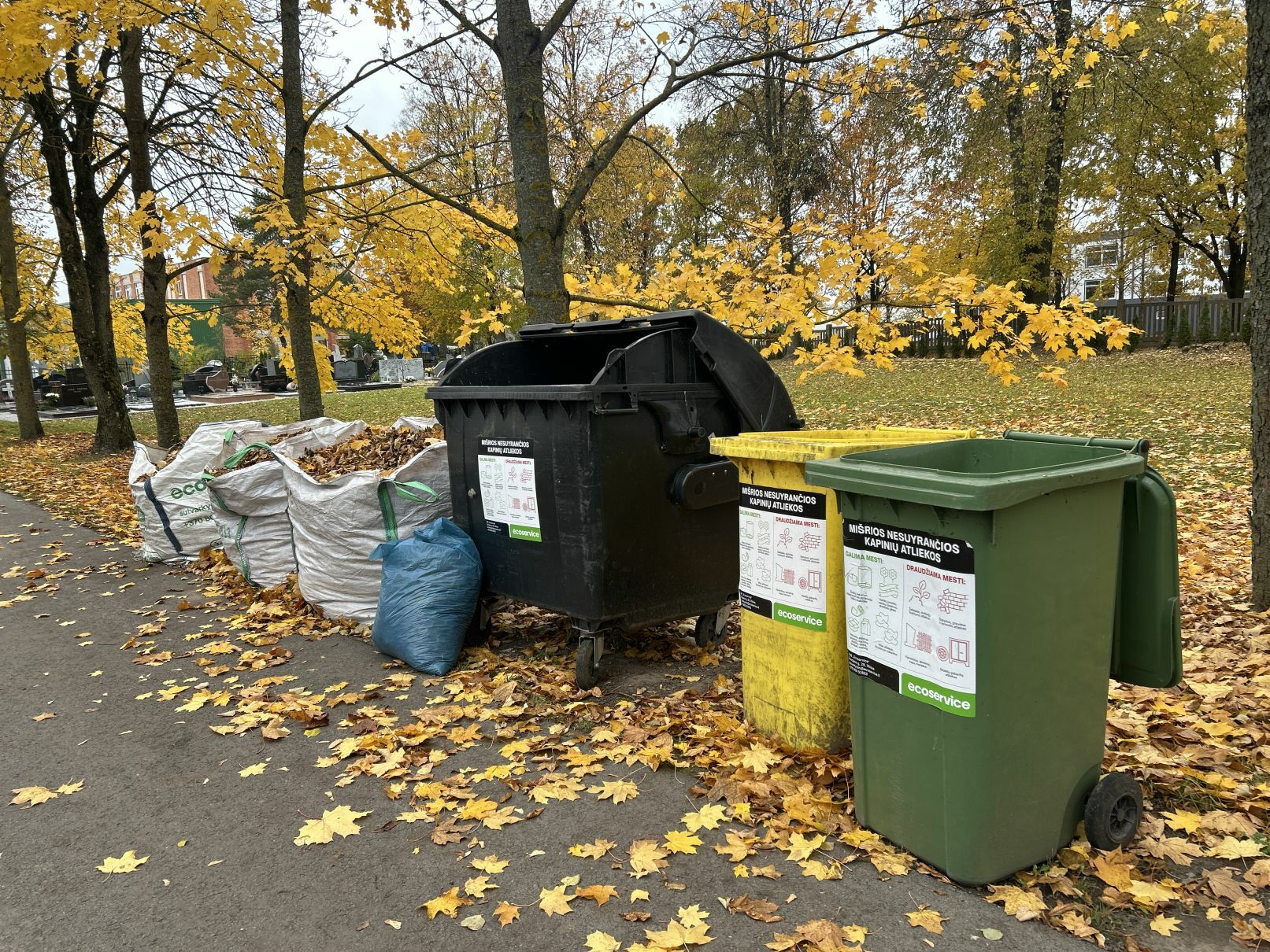 Apie atliekų tvarkymą Visų šventųjų dieną: kur ir kaip rūšiuoti